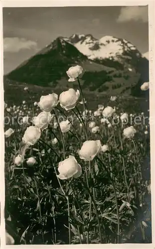 AK / Ansichtskarte Gstaad_BE Bergfruehling 
