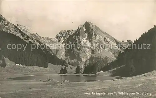 AK / Ansichtskarte Graeppelensee_Wildhaus_SG Wildhauser Schafberg 