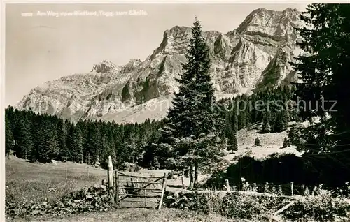 AK / Ansichtskarte Rietbad_930m_Toggenburg_SG mit Saentis 