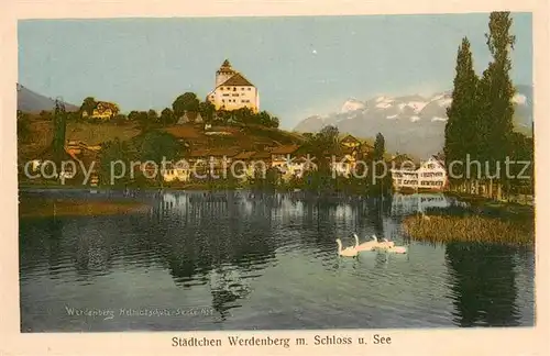 AK / Ansichtskarte Werdenberg_SG mit Schloss und See Feldpost 