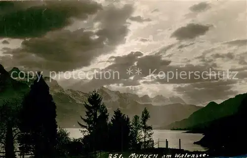 AK / Ansichtskarte Walensee_Wallensee_SG Partie am Morgen 