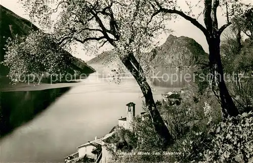 AK / Ansichtskarte Gandria_Lago_di_Lugano e Monte San Salvatore Gandria_Lago_di_Lugano