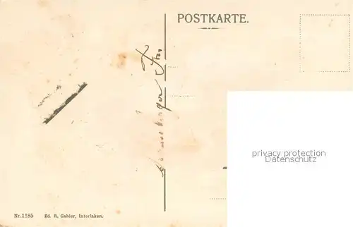 AK / Ansichtskarte Wengen__BE Wengernalp mit Jungfrau 