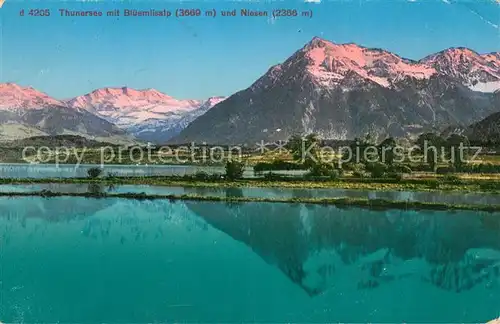 AK / Ansichtskarte Thunersee mit Bluemlisalp und Niesen Thunersee