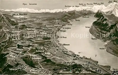 AK / Ansichtskarte Leman_Lac_Genfersee Panoramakarte Leman_Lac_Genfersee