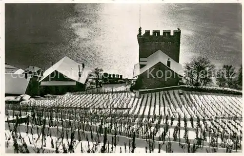 AK / Ansichtskarte Cully_VD Hiver au Treytorrens  Cully_VD