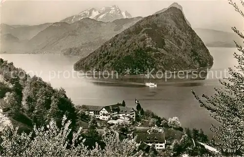 AK / Ansichtskarte Vitznau_Witznau_Vierwaldstaettersee_LU Ferienheim SMUV 