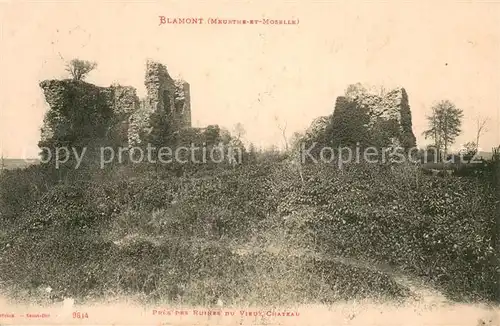 AK / Ansichtskarte Blamont_54 Pres des Ruines du Vieux Chateau 