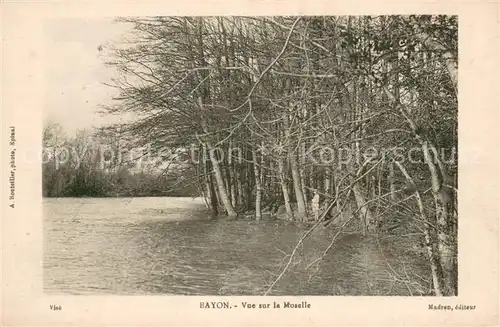 AK / Ansichtskarte Bayon_54 Vue sur la Moselle 