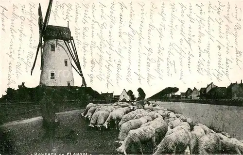 AK / Ansichtskarte Schaeferei_Landwirtschaft West vlaanderen 