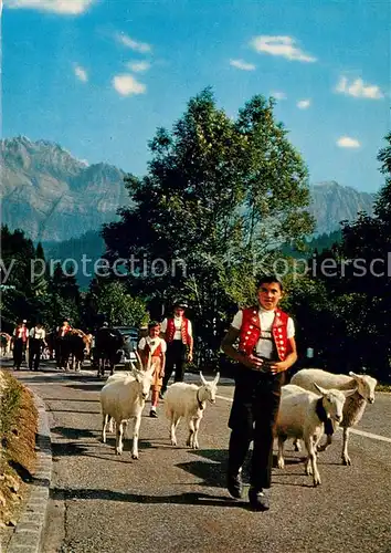 AK / Ansichtskarte Saentis_AR Alpfahrt mit Saentis Saentis_AR