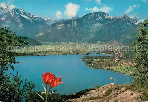 AK / Ansichtskarte Weesen_Walensee mit Linthebene und Glaernisch Weesen_Walensee