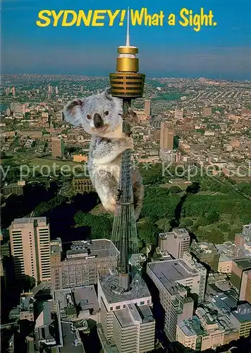 AK / Ansichtskarte Sydney__NSW_Australia Fliegeraufnahme Sydney Tower 