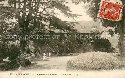 AK / Ansichtskarte Avranches_50 Le Jardin des Plantes Le Cedre 