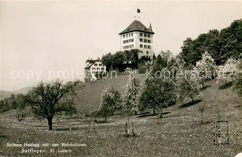 AK / Ansichtskarte Gelfingen Schloss Heidegg mit den Weinkulturen Feldpost Gelfingen