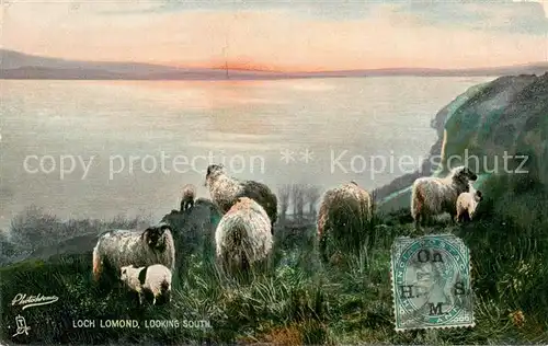 AK / Ansichtskarte Scott Loch Lomond Scott