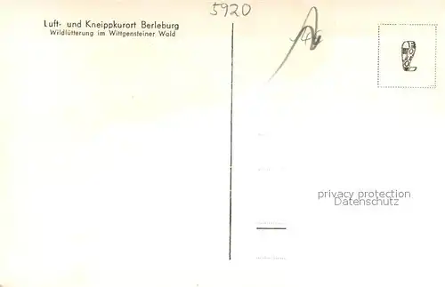 AK / Ansichtskarte Hirsch Wildfuetterung im Wittgensteiner Wald 