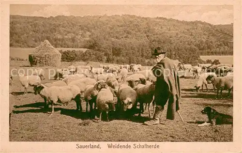 AK / Ansichtskarte Landwirtschaft Sauerland Schaefer  