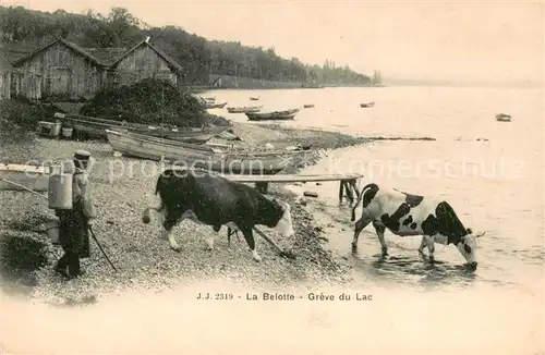 AK / Ansichtskarte Landwirtschaft J.J. 2319 La B elotte Greve du Lac 