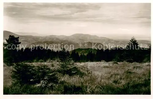 AK / Ansichtskarte Schliffkopfhaus Panorama Schliffkopfhaus