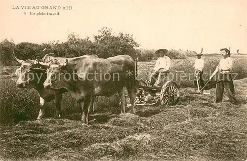 AK / Ansichtskarte Landwirtschaft La Vie au Grand air 