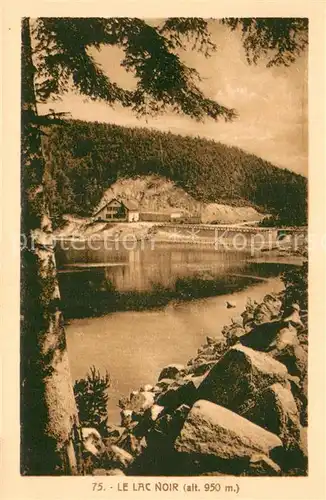 AK / Ansichtskarte Lac_Noir_Vosges_88 Panorama 