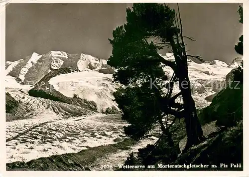 AK / Ansichtskarte Morteratschgletscher Gletscheransicht Morteratschgletscher