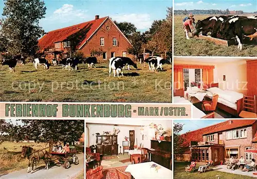 AK / Ansichtskarte Marx Ferienhof Bunkerburg Teilansichten Kuehe Marx