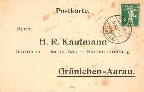 AK / Ansichtskarte Graenichen H.R.Kaufmann Gaertnerei Samenhandlung Geschaeftsschreiben Graenichen