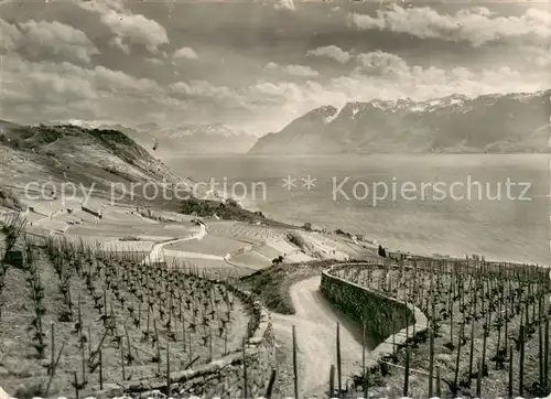 AK / Ansichtskarte Lavaux__VD Vignoble et le Lac Leman 