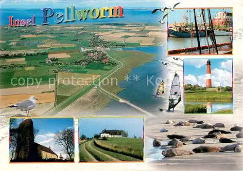 AK / Ansichtskarte Pellworm Nordseeinsel Fliegeraufnahme Hafen Fischkutter Leuchtturm Seehunde Kirche Pellworm