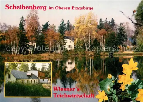 AK / Ansichtskarte Scheibenberg Wiesners Teichwirtschaft Teichrosen Scheibenberg