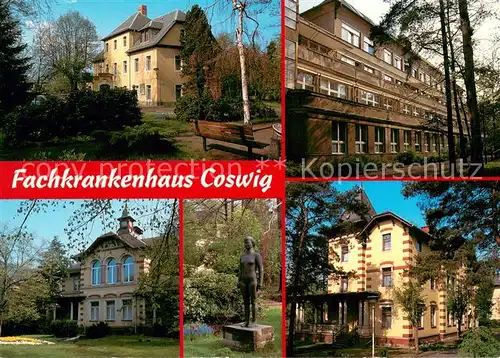 AK / Ansichtskarte Coswig_Sachsen Fachkrankenhaus Denkmal Coswig Sachsen