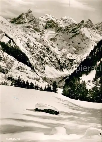 AK / Ansichtskarte Einoedsbach mit Trettachspitze Maedelegabel Hochtrottspitze und Berge der guten Hoffnung Einoedsbach