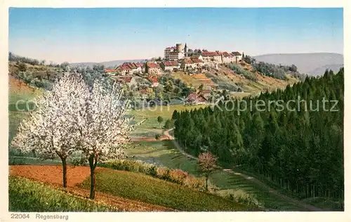 AK / Ansichtskarte Regensberg_Dielsdorf_ZH Panorama 