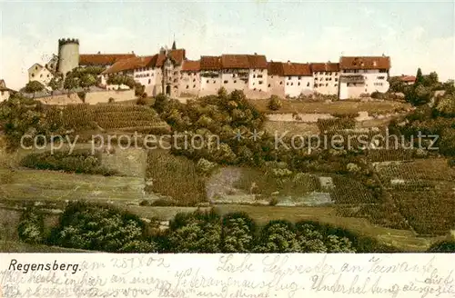 AK / Ansichtskarte Regensberg_Dielsdorf_ZH Ortsansicht 