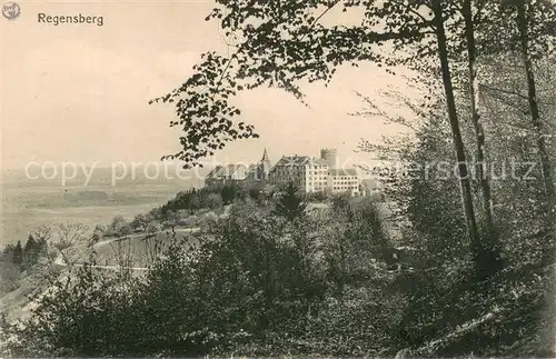 AK / Ansichtskarte Regensberg_Dielsdorf_ZH Panorama 