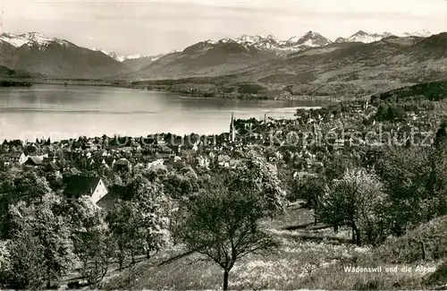 AK / Ansichtskarte Waedenswil_Waedensweil_ZH und die Alpen 