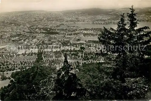 AK / Ansichtskarte Zuerich_ZH Blick vom Uetliberg Zuerich_ZH