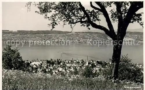 AK / Ansichtskarte Waedenswil_Waedensweil_ZH Panorama 