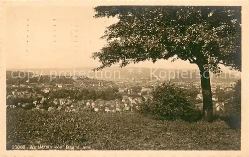 AK / Ansichtskarte Winterthur__ZH Blick vom Baeumli 
