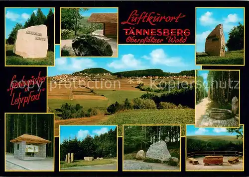 AK / Ansichtskarte Taennesberg Panorama Ferienort Luftkurort im Oberpfaelzer Wald Landschaft Natur Gedenkstein Taennesberg