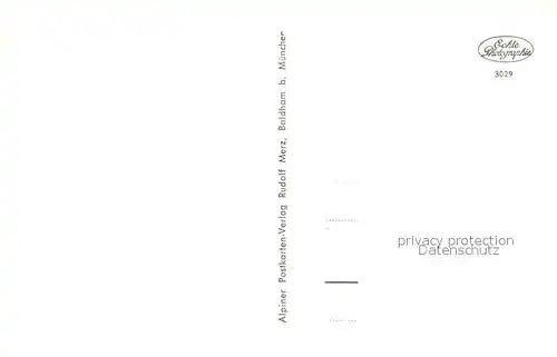 AK / Ansichtskarte Alzing_Traunstein Panorama Blumenwiese Hochfelln Hochgern Chiemgauer Alpen Alzing_Traunstein