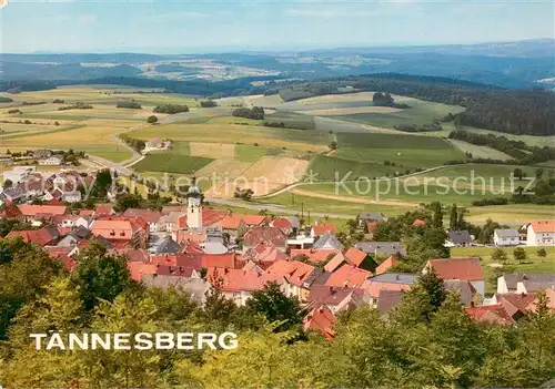 AK / Ansichtskarte Taennesberg Panorama Erholungsort Landschaft Oberpfaelzer Wald Taennesberg