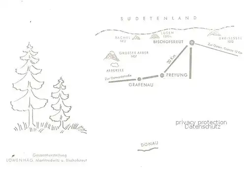 AK / Ansichtskarte Bischofsreut_Haidmuehle Panorama Ferienort im Bayerischen Wald Bischofsreut_Haidmuehle
