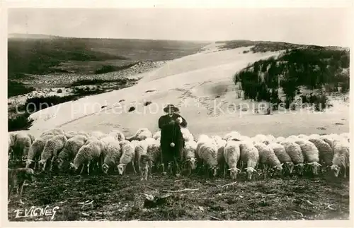 AK / Ansichtskarte Schaeferei_Landwirtschaft E.Vignes Au Soleil des Landes 