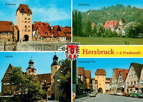 AK / Ansichtskarte Hersbruck Wassertor Michelsberg Schloss Nuernberger Tor Innenstadt Wappen Hersbruck