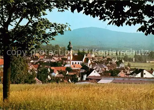 AK / Ansichtskarte Eslarn Ortsansicht mit Kirche Eslarn