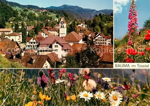 AK / Ansichtskarte Bauma_ZH im Toesstal Panorama  