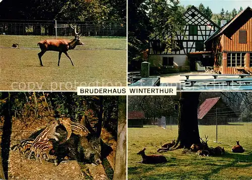 AK / Ansichtskarte Winterthur__ZH Ausflugs Restaurant und Tierpark Bruderhaus 